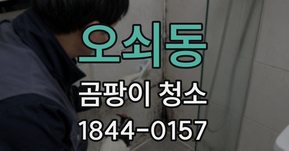 오쇠동 곰팡이 청소