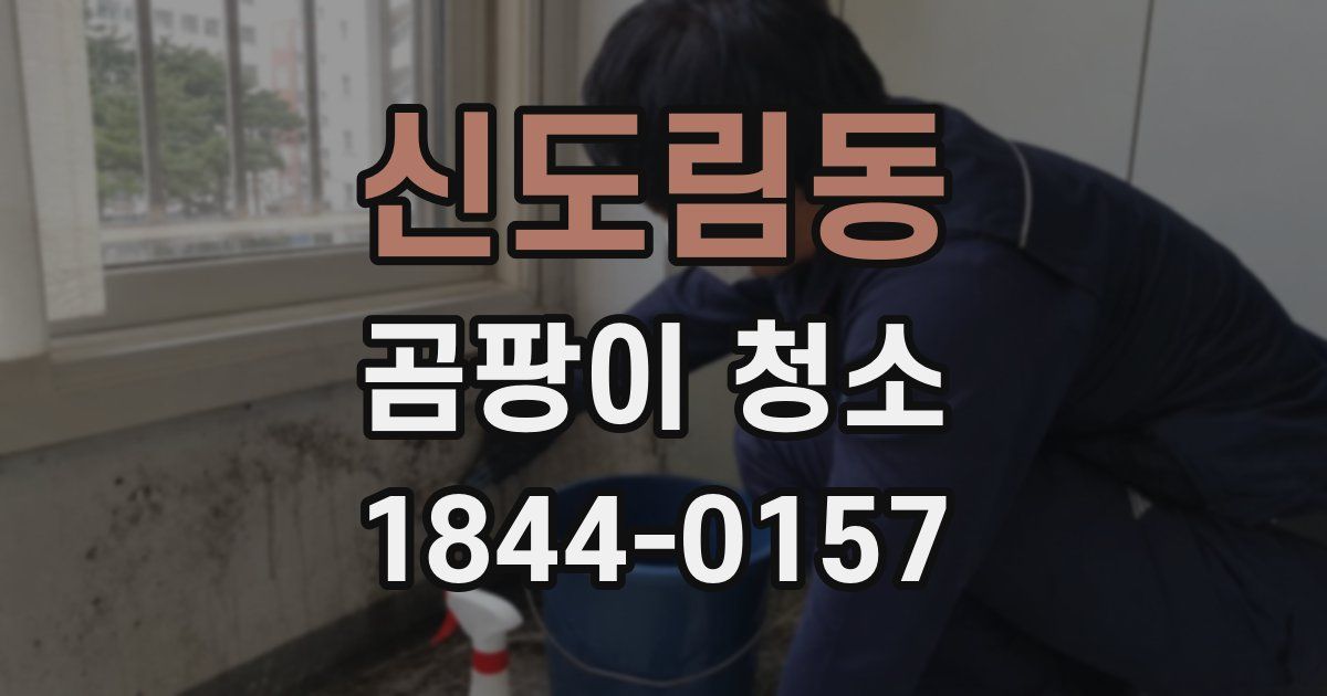 신도림동 곰팡이 청소