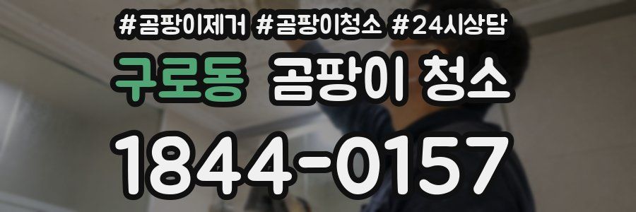 구로동 곰팡이 청소