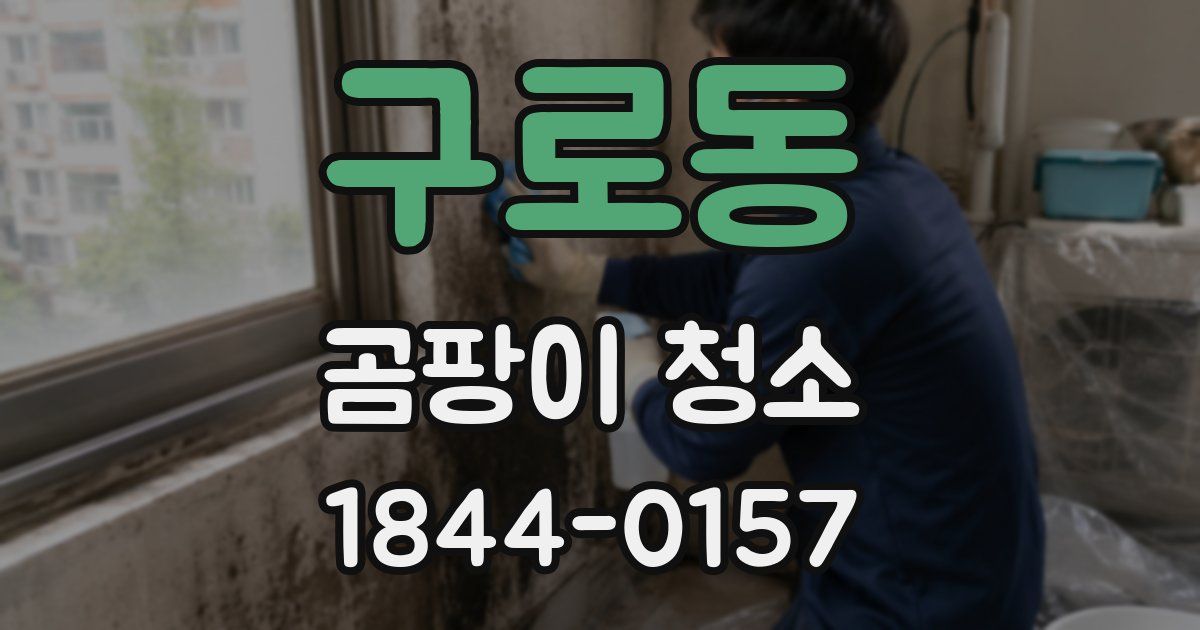 구로동 곰팡이 청소