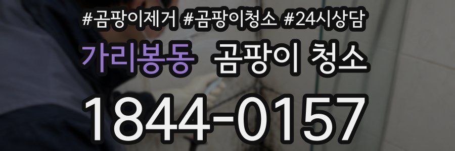 가리봉동 곰팡이 청소