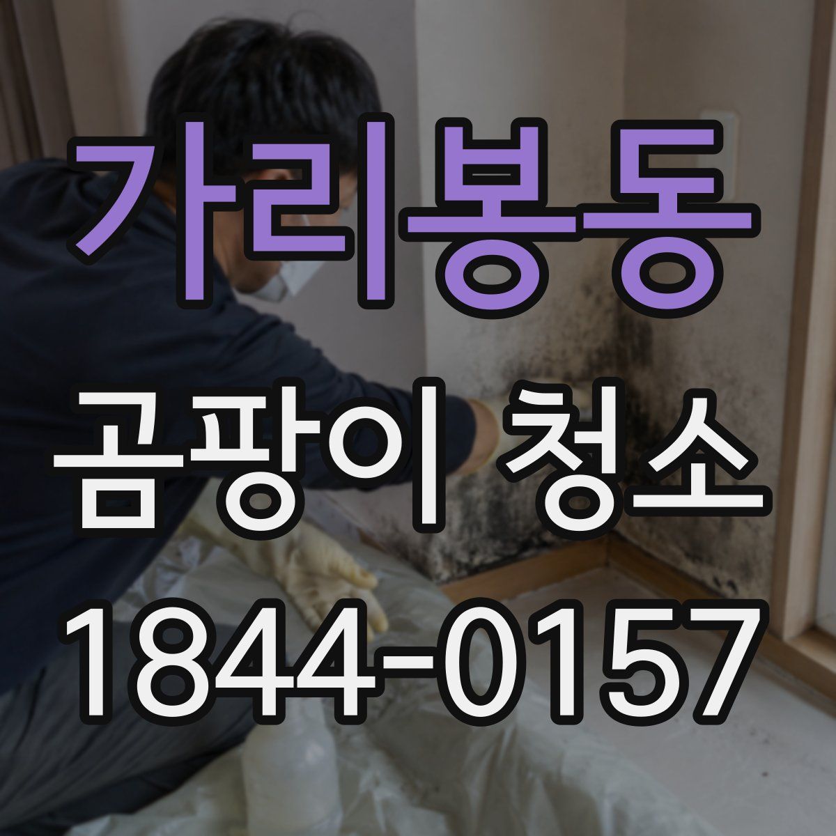 가리봉동 곰팡이 청소