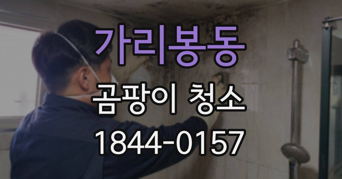 가리봉동 곰팡이 청소