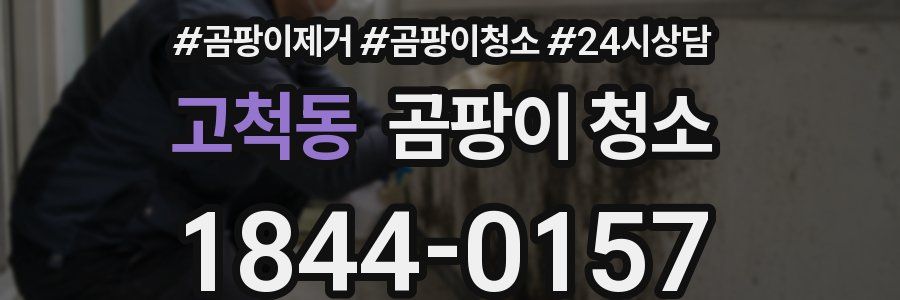 고척동 곰팡이 청소