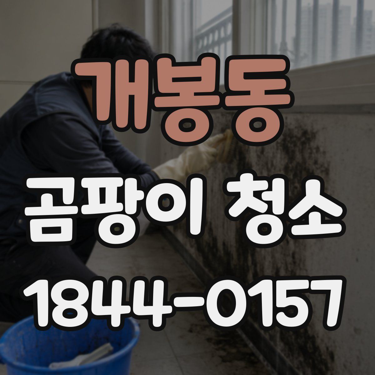 개봉동 곰팡이 청소