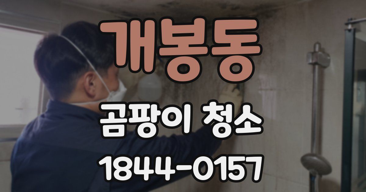 개봉동 곰팡이 청소