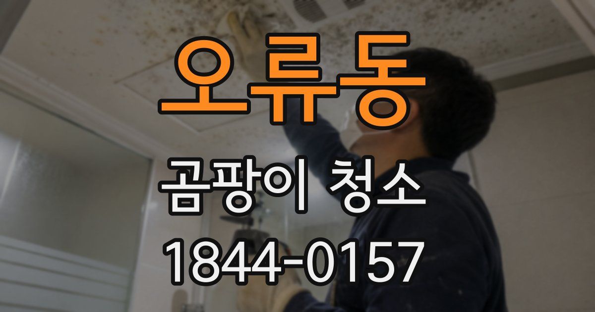 오류동 곰팡이 청소