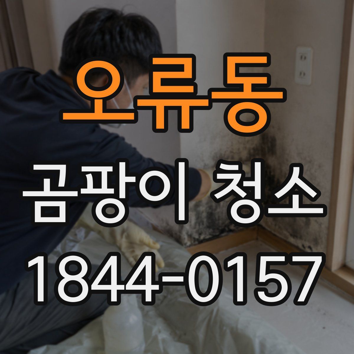 오류동 곰팡이 청소