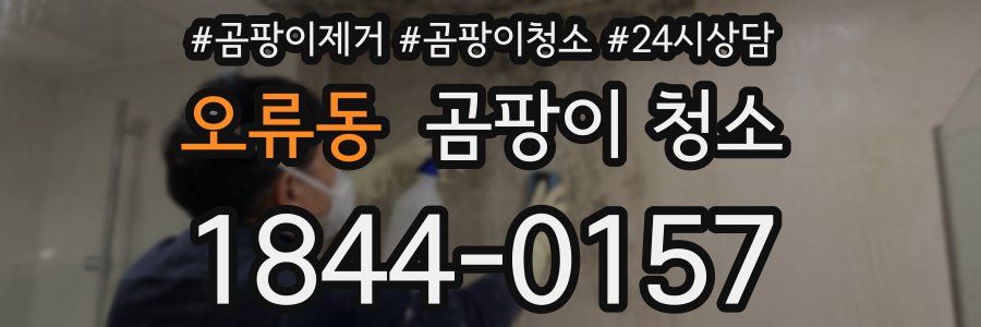 오류동 곰팡이 청소
