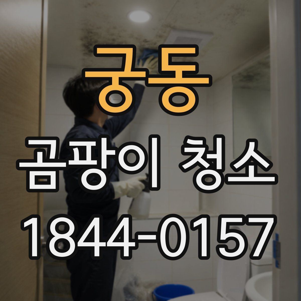 궁동 곰팡이 청소 입주 전 점검해야 할 내용하면 좋은 천장과 벽면 상태