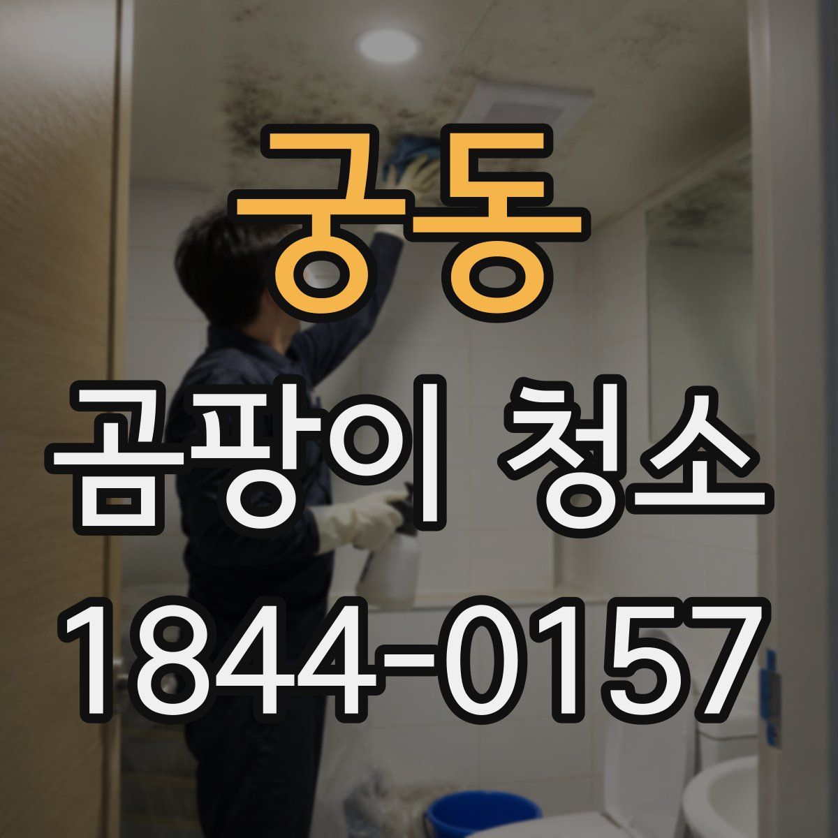 궁동 곰팡이 청소