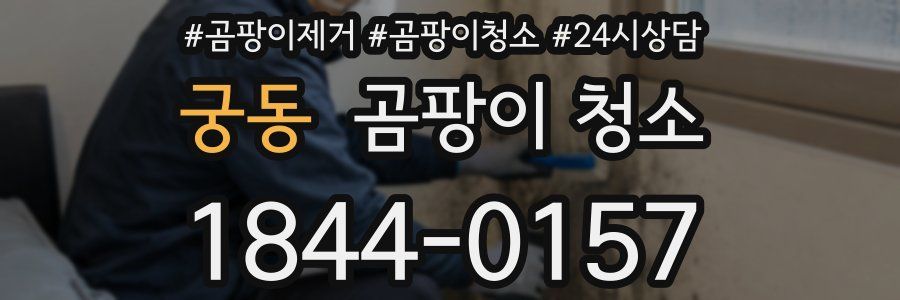 궁동 곰팡이 청소