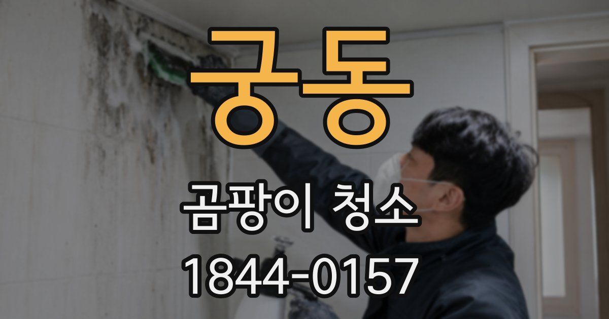 궁동 곰팡이 청소