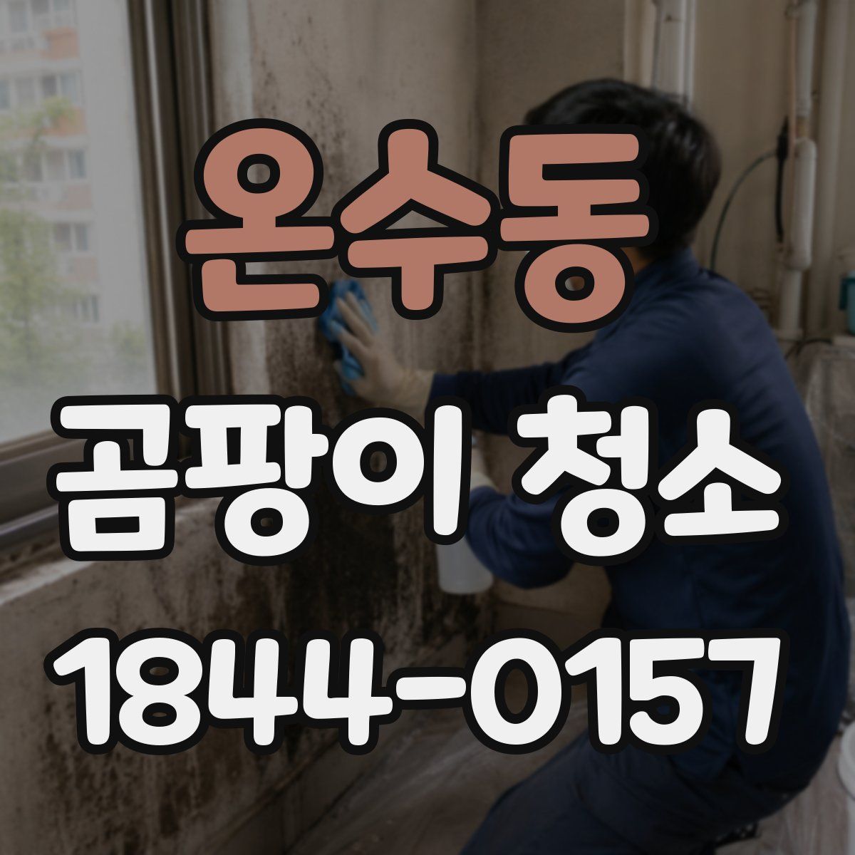 온수동 곰팡이 청소