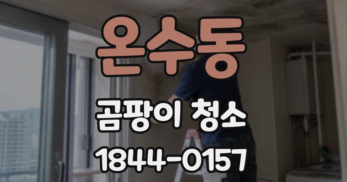 온수동 곰팡이 청소