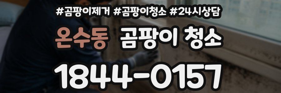 온수동 곰팡이 청소