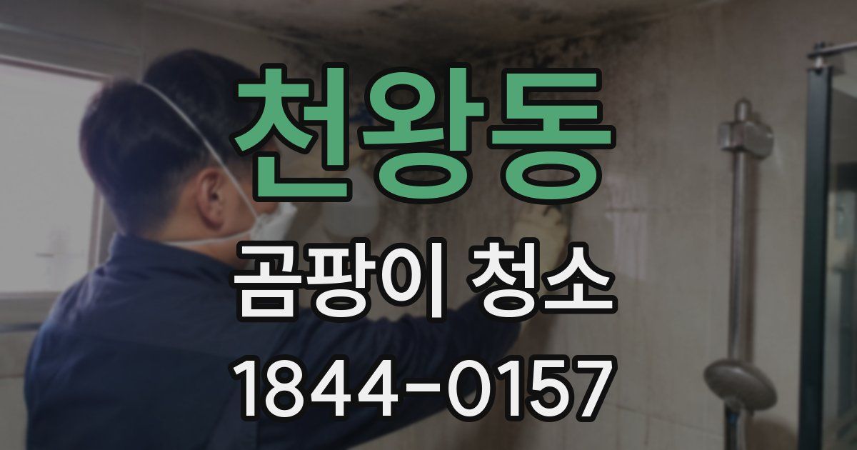 천왕동 곰팡이 청소