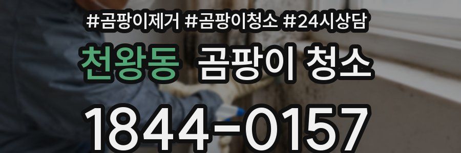 천왕동 곰팡이 청소