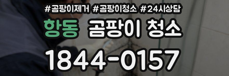 항동 곰팡이 청소