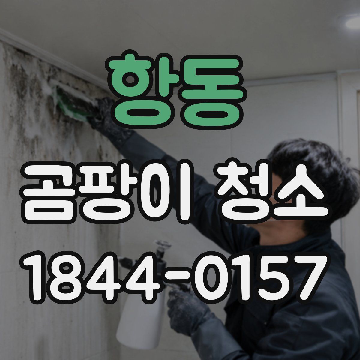 항동 곰팡이 청소