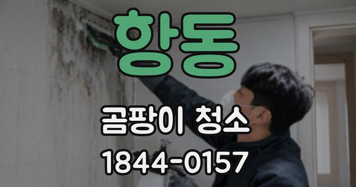 항동 곰팡이 청소