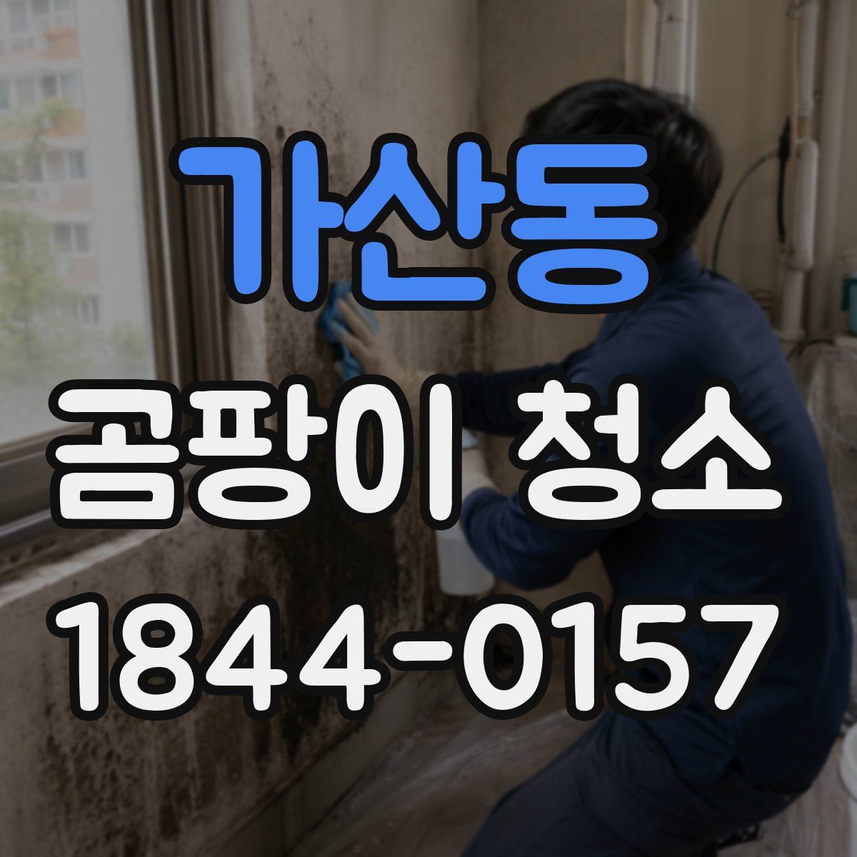 가산동 곰팡이 청소