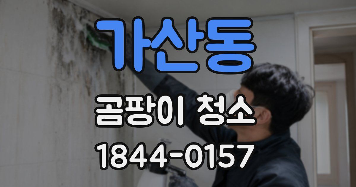가산동 곰팡이 청소