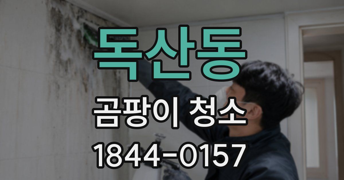 독산동 곰팡이 청소