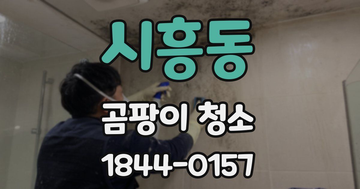 시흥동 곰팡이 청소