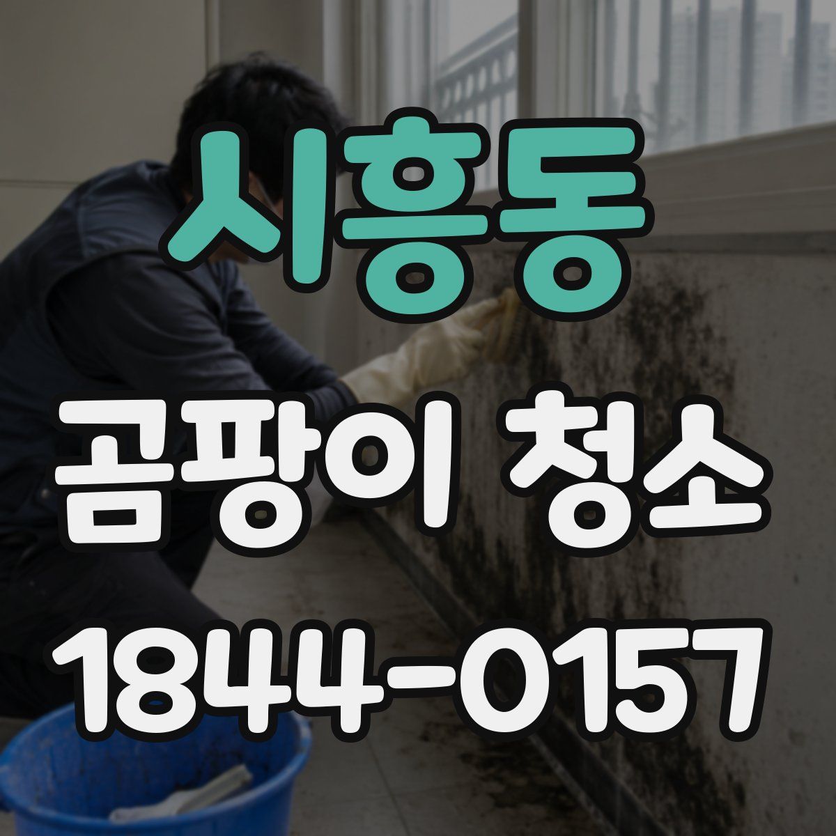시흥동 곰팡이 청소