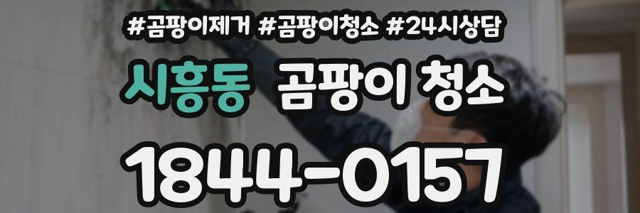 시흥동 곰팡이 청소