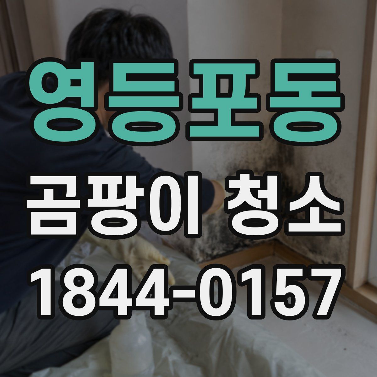 영등포동 곰팡이 청소