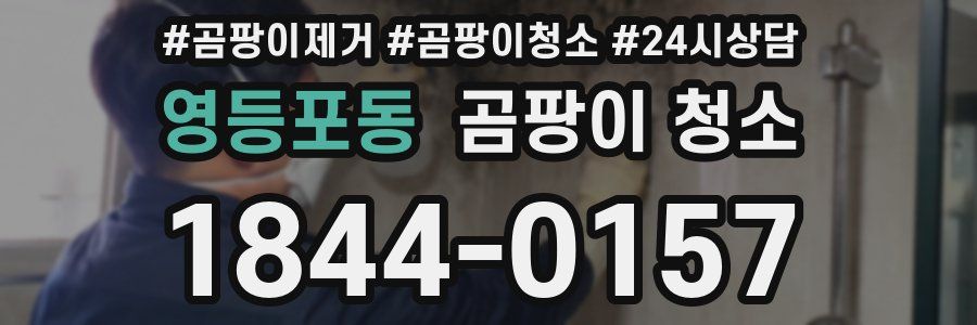 영등포동 곰팡이 청소