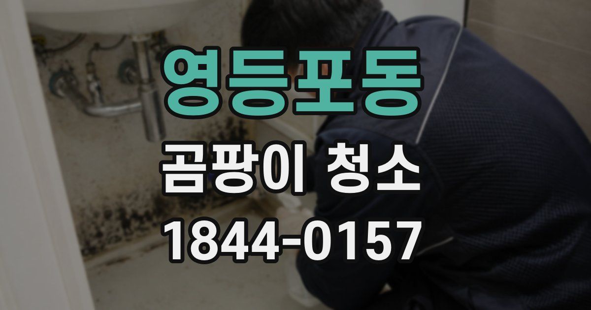 영등포동 곰팡이 청소