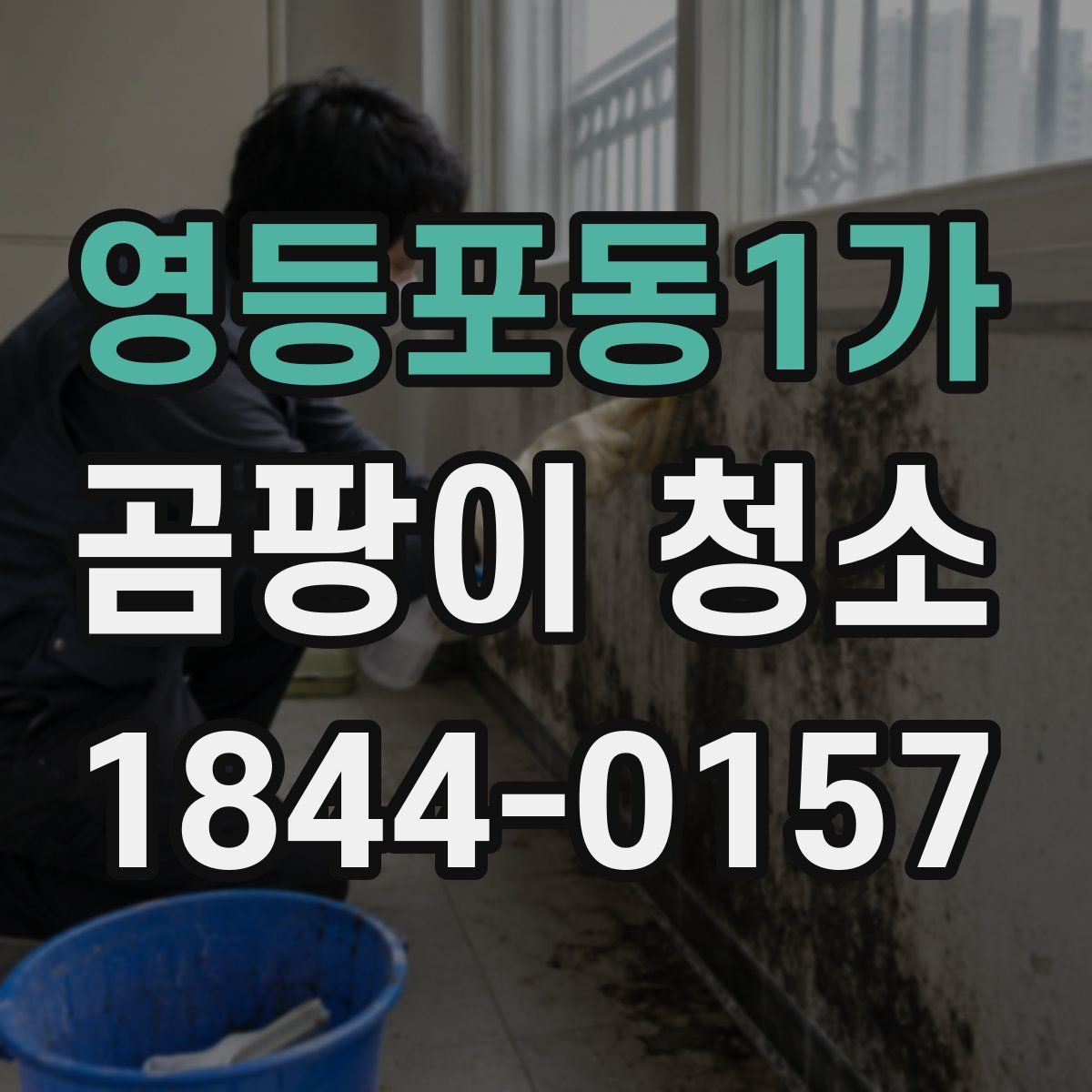 영등포동1가 곰팡이 청소