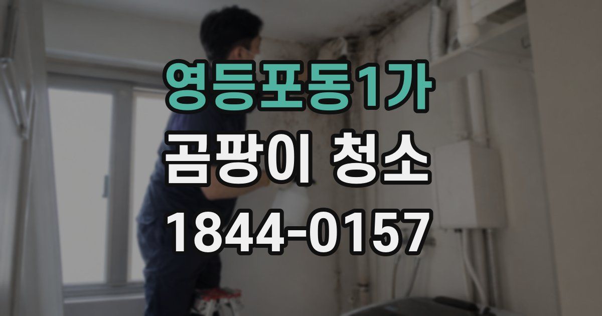영등포동1가 곰팡이 청소