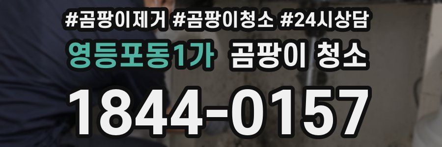 영등포동1가 곰팡이 청소