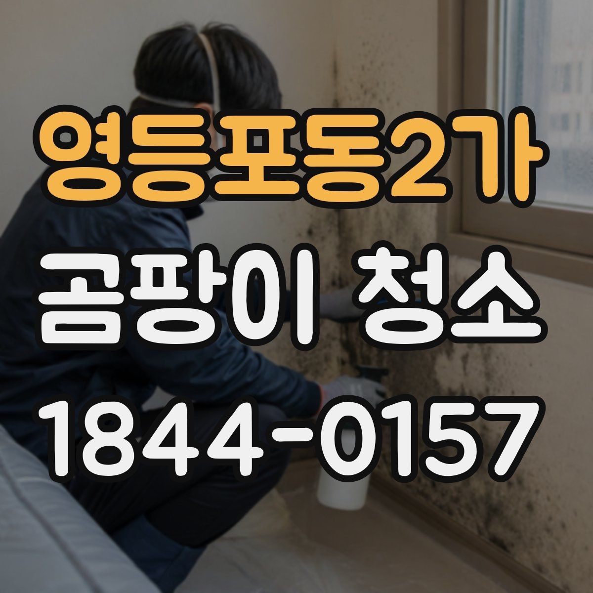 영등포동2가 곰팡이 청소 번진 범위부터 확인하는 현장 점검
