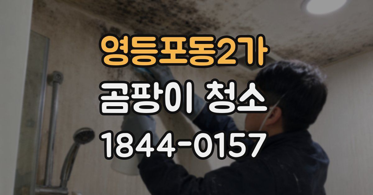 영등포동2가 곰팡이 청소