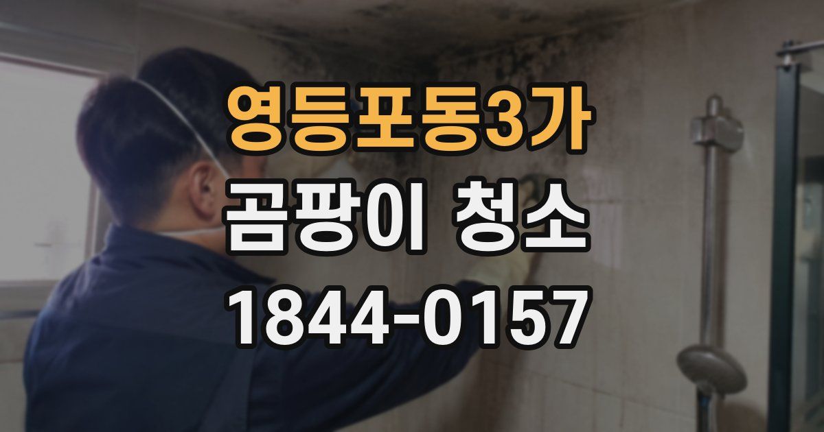 영등포동3가 곰팡이 청소
