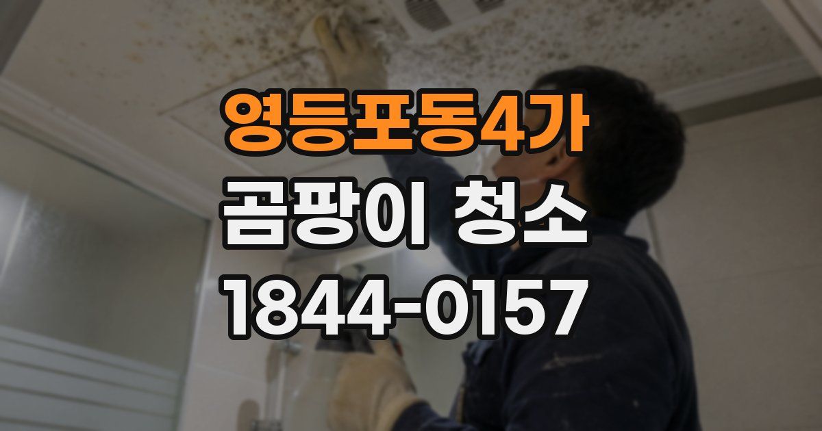 영등포동4가 곰팡이 청소