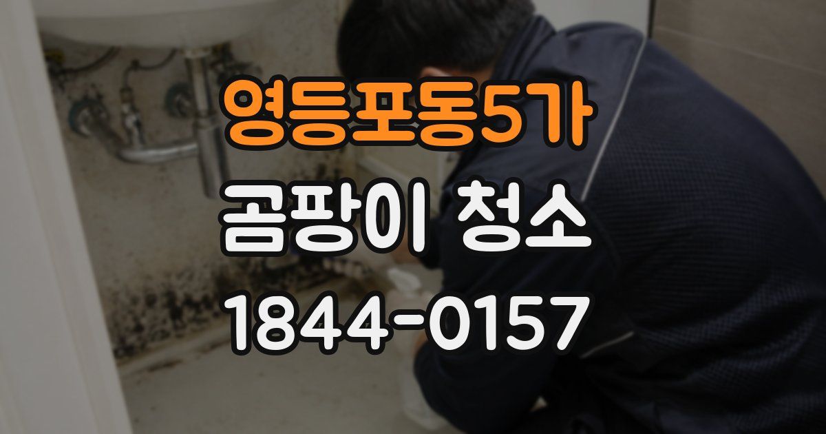 영등포동5가 곰팡이 청소