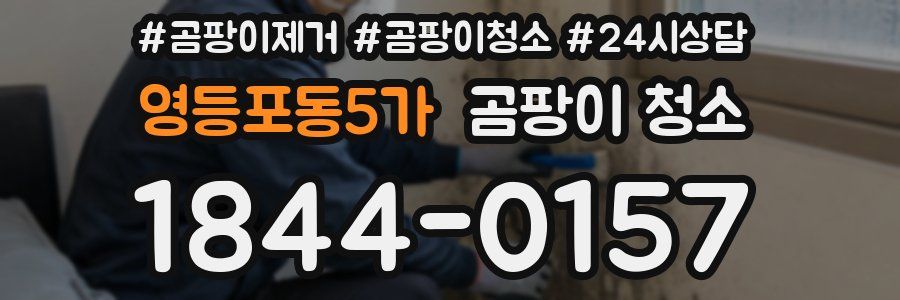영등포동5가 곰팡이 청소