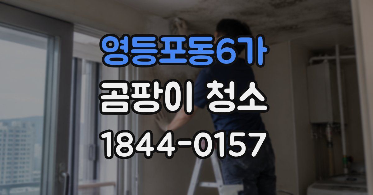 영등포동6가 곰팡이 청소