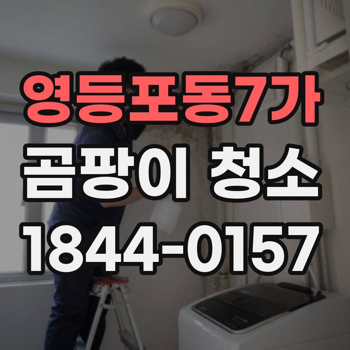 영등포동7가 곰팡이 청소