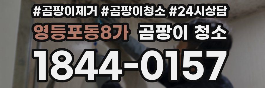 영등포동8가 곰팡이 청소