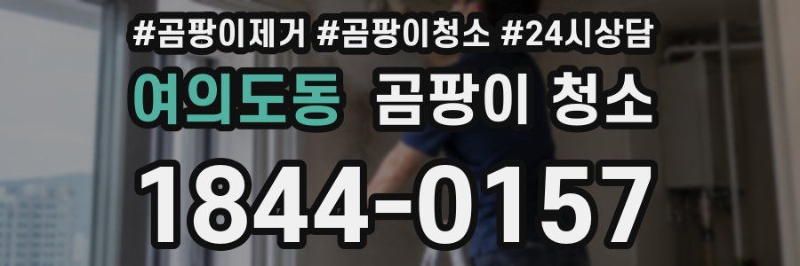 여의도동 곰팡이 청소