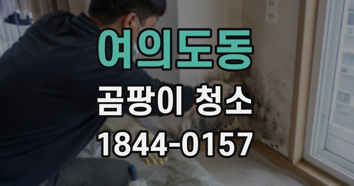 여의도동 곰팡이 청소