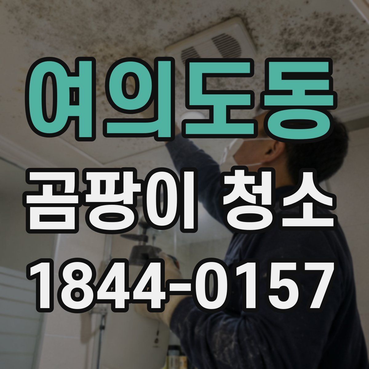 여의도동 곰팡이 청소