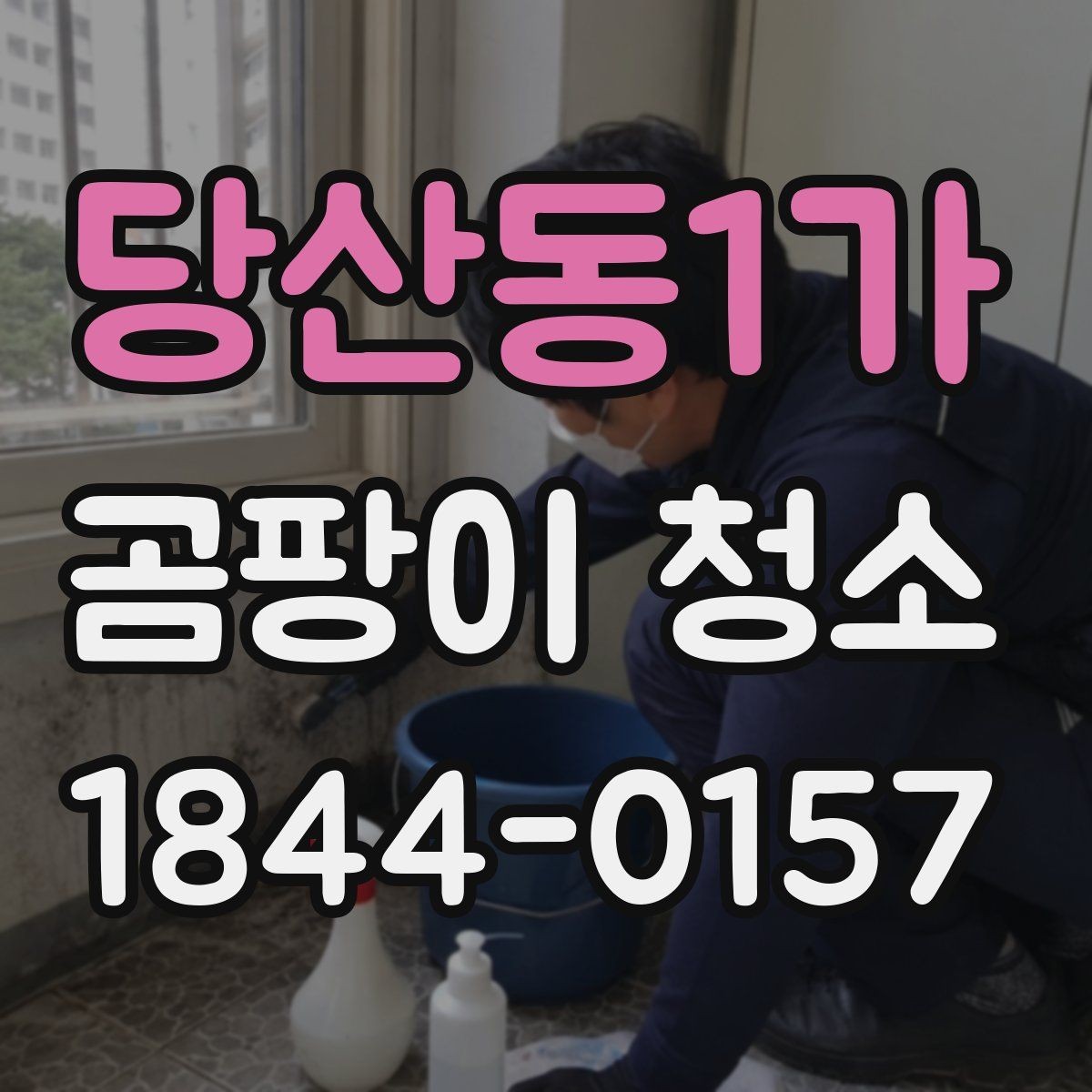 당산동1가 곰팡이 청소 방마다 다른 위생 회복 순서를 정리하는 법